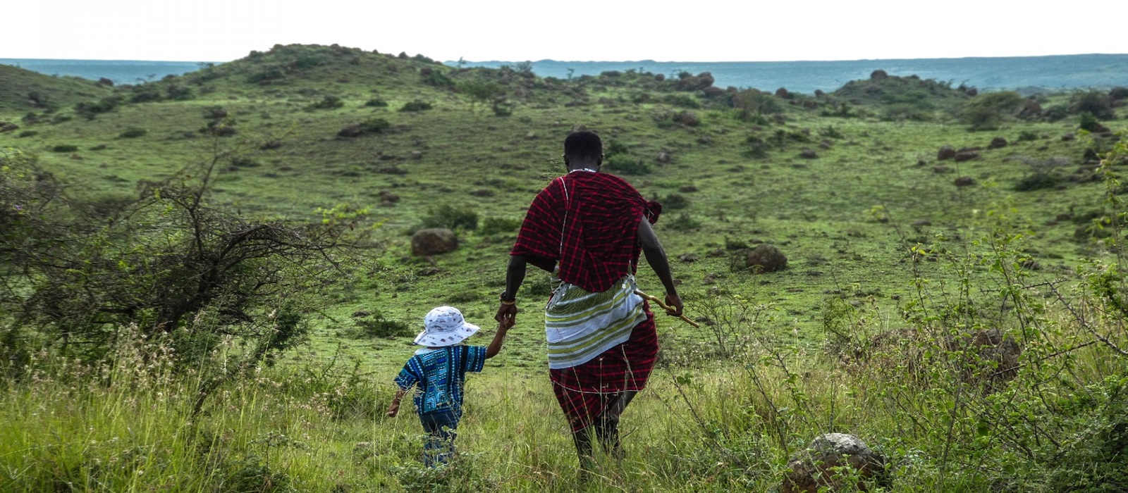 Family Safari