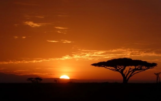 Serengeti Sunset